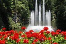 Victoria Plus Whale Watching & Butchart Gardens